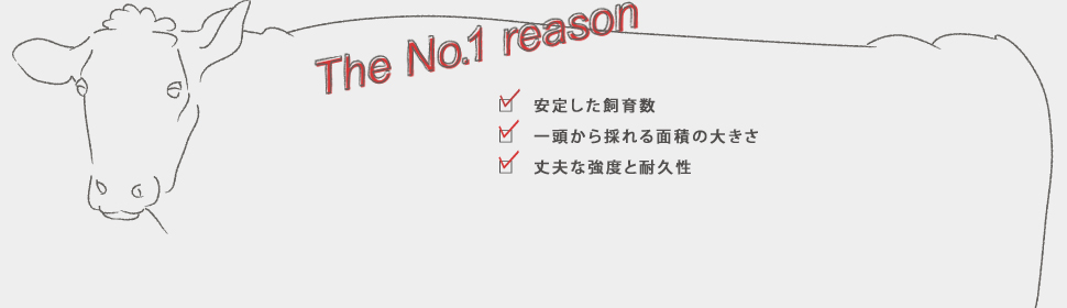 牛革の魅力は「異なる秀でた特徴」