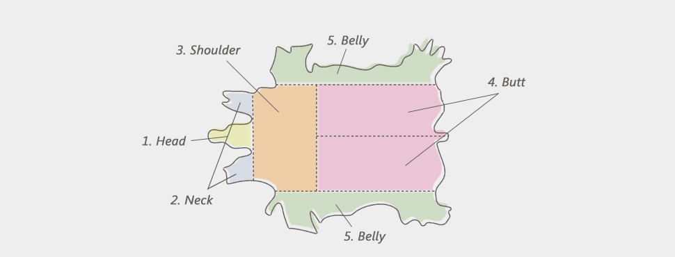 牛原皮の各部位紹介