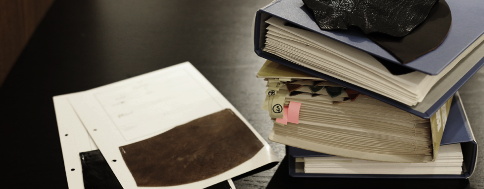 素材のデータベース