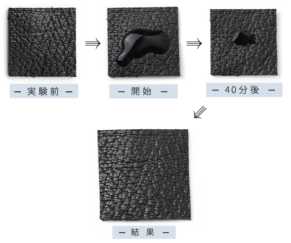 「P&Dバッファローカーフ」の結果