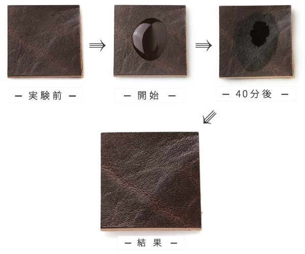 「ルガトショルダー」の結果