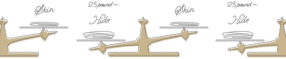 「ハイド」と「スキン」の違い