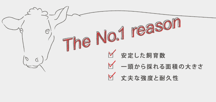 牛革の魅力は「異なる秀でた特徴」