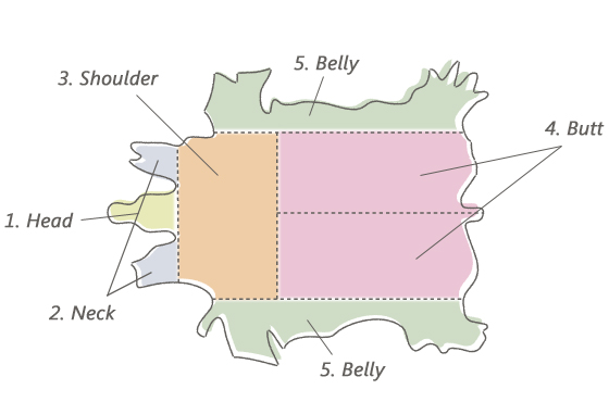 牛原皮の各部位紹介