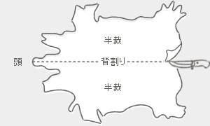 なめし準備工程／背割り