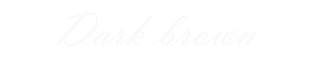 Alt81ラウンドファスナー長財布ダークブラウンの詳細