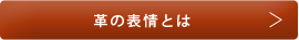 「革の表情」とは？